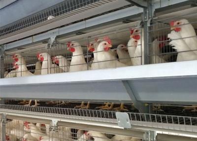 Cina Un tipo 96 deposizione delle uova delle galline degli uccelli ha galvanizzato la gabbia per l'agricoltura di strato in vendita
