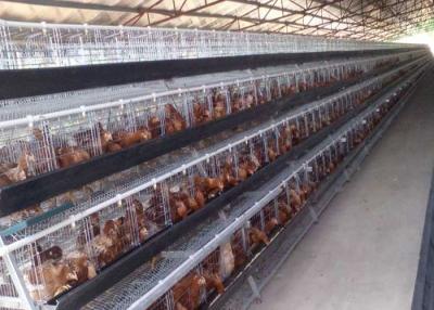 China Poultry Farming Galvanized Battery Layer Chicken Cage 160 Birds for sale