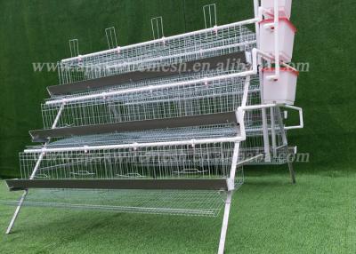 China 4 Tiers Hot Dipped Galvanized Automatic Steel Cage For Layers Chickens for sale