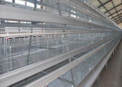 China De grote Capaciteit galvaniseerde Automatische Laag Hen Cages For 160 Kippen Te koop