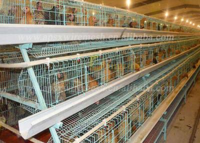 China 4 Tiers 4 Cells 128 Chickens Capacity Layer Poultry Cage In Farm for sale