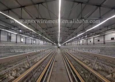 China Poultry Farm Equipment A Type Q235 Layer Chicken Cage 4 Tiers for sale