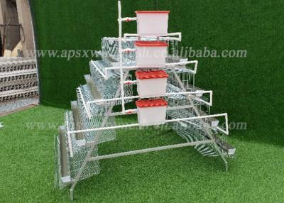 China High Egg Production Hdg A Frame Layer Cages Automatic System For Commercial Chicken Farming for sale