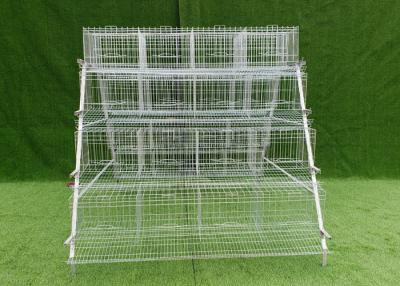 China Type A Q235 Strong Rearing Galvanized Chicken Cage Automatic for sale