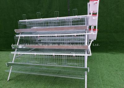 Chine Cage de volaille de rangées du cadre 3 de la ferme A de couche pour des poulets à rôtir à vendre