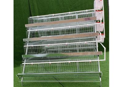Chine Pose de volaille de cage de batterie de poulet de 4 oiseaux des rangées 96 galvanisée à chaud à vendre