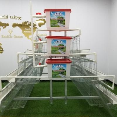 China Big Capacity Automatic Egg Hdg Laying Hen Chicken Cage Poultry for sale