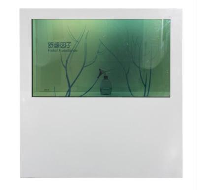 China caixa de exposição transparente autônoma de 1080P LCD língua do apoio de 55 polegadas multi à venda