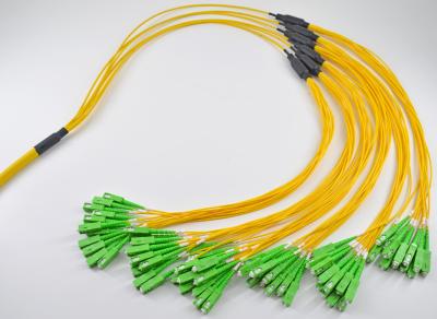 中国 72の中心の前に終えられた多繊維は単一モードの幹線相互連結をケーブルで通信します 販売のため