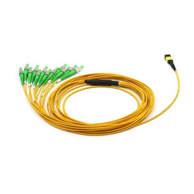 China OFNR 12F MPO MTP Patch Cord FC APC Breakout Trunk Cable For Data Center for sale