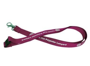 China Promotional Nice Looking Silk Screen Lanyards With Metal Hook And Safety Clasp for sale
