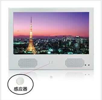 Китай В стиле фанк подгонянное 16.7M фото 12 дюймов электронное обрамляет поддержки MMC/карточку SD продается