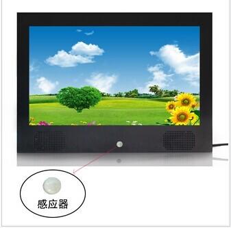 China Desktop Wide Viewing Angle Motion Sensor Digital Photo Frame 15.6 Inch for sale