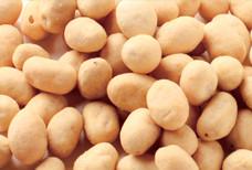 Cina L'OEM assiste lo spuntino rivestito dell'arachide, prodotti cascer delle arachidi ricoperti BBQ dell'aglio in vendita