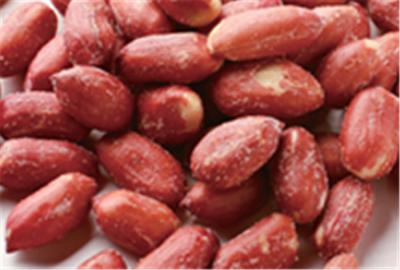China Beer Nuts Big Red Candy Coated Peanuts Kernel Various Taste HALAL Certifiaction for sale