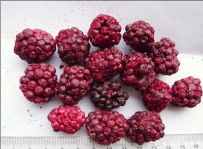 China Raw Fruit Flavour Freeze Dried Blackberries Soft Texture Good For Health for sale