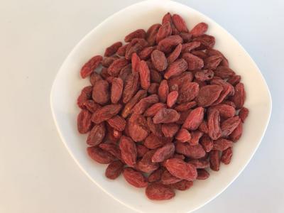 China Nutritious Healthiest Dried Fruit Goji Berry Bright Color Safe Raw Ingredient for sale
