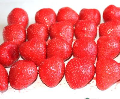 Chine Saveur naturellement douce en boîte organique de fruit de fraise 2 ANS de durée de conservation à vendre