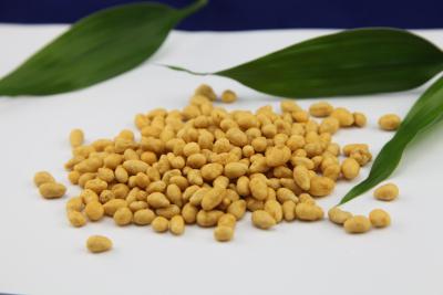 Cina Il potere di sapore del gamberetto fa un spuntino il HACCP croccante del gusto dei noccioli del girasole certificato in vendita