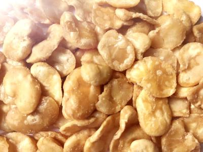 中国 低脂肪の揚げられていた空豆のスナックの完全な栄養物はStoraging冷却しましたり/乾燥した場所 販売のため
