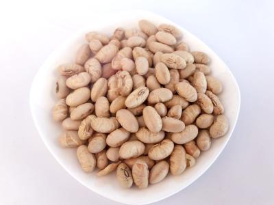 China Salted Soaked Yellow  Dried Soybeans Snack Crispy Taste Full Nutrition for sale