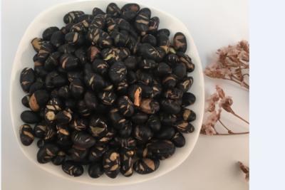Cina Il Wasabi originale di sapore ha salato i fagioli neri arrostiti con lo spuntino cascer del dado della soia di certificazione in vendita