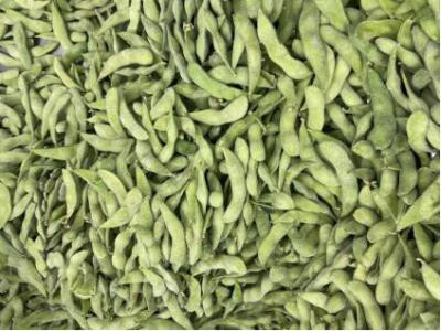 China Edamame Beans congelado de alto valor proteico certificado HALAL en venta