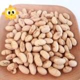 China Natural healthy OEM Roasted Salted Soya Bean Snacks Handpicked Vegan Beans for sale