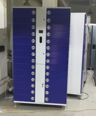 China Máquina de venda automática vendendo inteligente do ramalhete da solução do armário do cacifo a fichas à venda