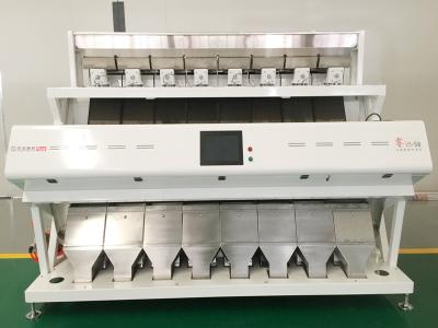China High Capacity Wheat Color Sorter Equipment 8 Channels 5400 Pixel Camera for sale