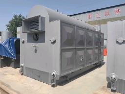 China PLC Coal Burning Industrial Steam Boiler Food Processing Industry for sale