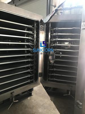中国 大容量の産業凍結乾燥機、産業真空のフルーツの乾燥機械 販売のため