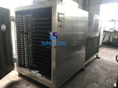 China SS 304 Commercial Freeze Drying Equipment , Commercial Food Freeze Dryer for sale