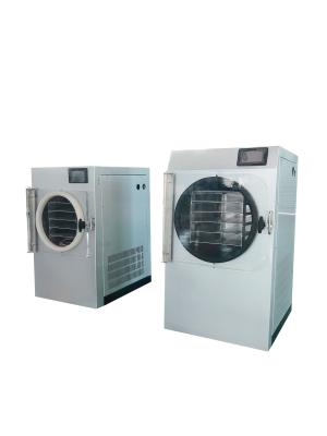 China El secador de helada automático de la comida para la fruta reduce el jugo del concentrado a pulpa en venta