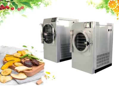 China Cold Trap Home Freeze Dryer Machine Electric Heating Fruit Freeze Drying Machine for sale