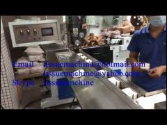 Napkin Production Line Automatic 500 Sheet /Min 240x240mm