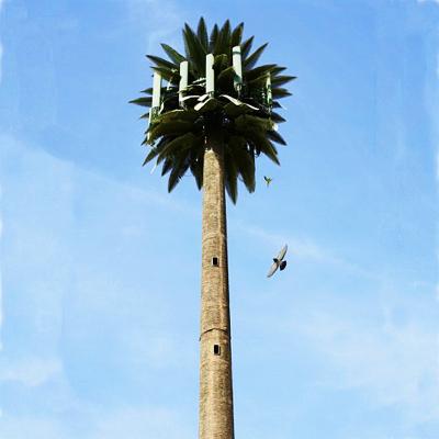 China Camouflaged Artificial Palm Tree Antenna Tower 30m Height en venta