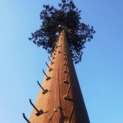 Chine Limite conventionnelle d'élasticité 355MPa de la tour 30m 35m d'arbre de paysage d'antenne de communication à vendre