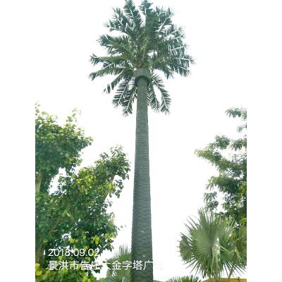 China Camouflaged Disguised Cell Phone Towers 50m Galvanized Steel for sale