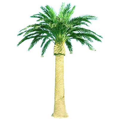 China 15m 35m Camouflaged Cell Towers Artificial Palm Tree Antenna Towers for sale