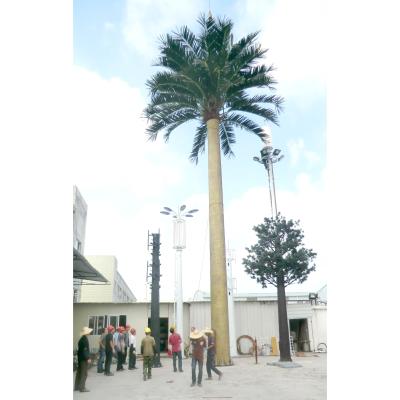 China ODM 30m Artificial Palm Tree Disguised Cell Towers Galvanized Steel Pipe for sale