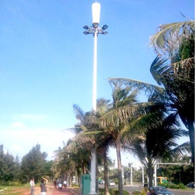 China 30m High Mast Galvanized Steel Camouflaged Mobile Cell Tower  and Light Pole for sale
