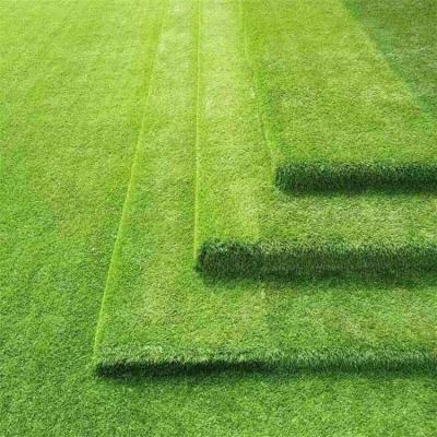 China High quality cheap price UV resist synthetic turf grass artifical lawn turf grass squares for landscaping for sale