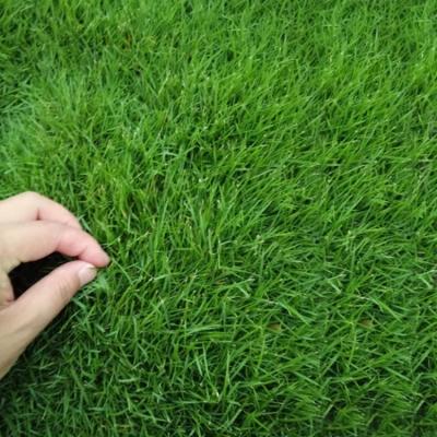 China Soft PE plastic Artifical grass 30mm 35mm 40mm 45mm 50mm 55mm 60mm for football for sale