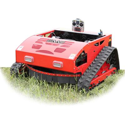 China RC Remote Control Small Riding Lawn Mower Gasoline  Small Lawn Mower for sale