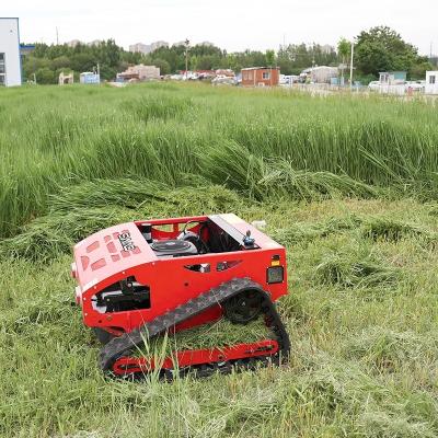 China Red EURO 5 Mini Dumper Compact Gasoline Electric Lawn Mower for sale