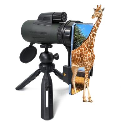 China High End 12X56 ED Glass Monocular Bird Watching Telescope For Hunting for sale