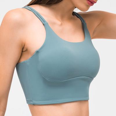Classic Tank Women Yoga Bra Shirts Sports Vest Fitness Tops Sexy Underwear  Solid Color Lady Tops with Removable Cups Yoga Sports Bra Tanks - China  Yoga Bra and Yoga Top price