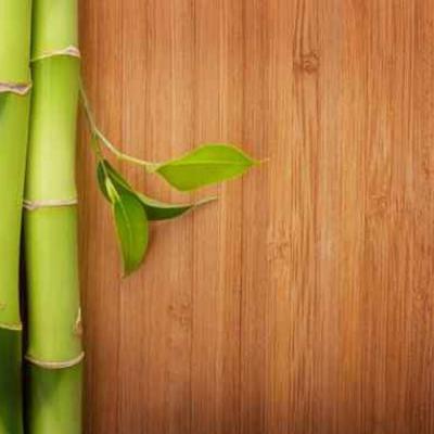 China Piso de bambú sólido moderno para suelos populares de tablones de madera larga en venta