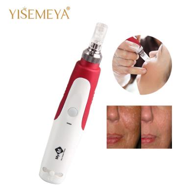 China Professional Micro Needling Derma Pen And Electric Derma Pen Needle Cartridge for Skin Tighten for sale